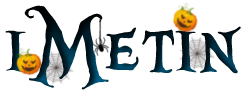 1382918369imetin_logo.png